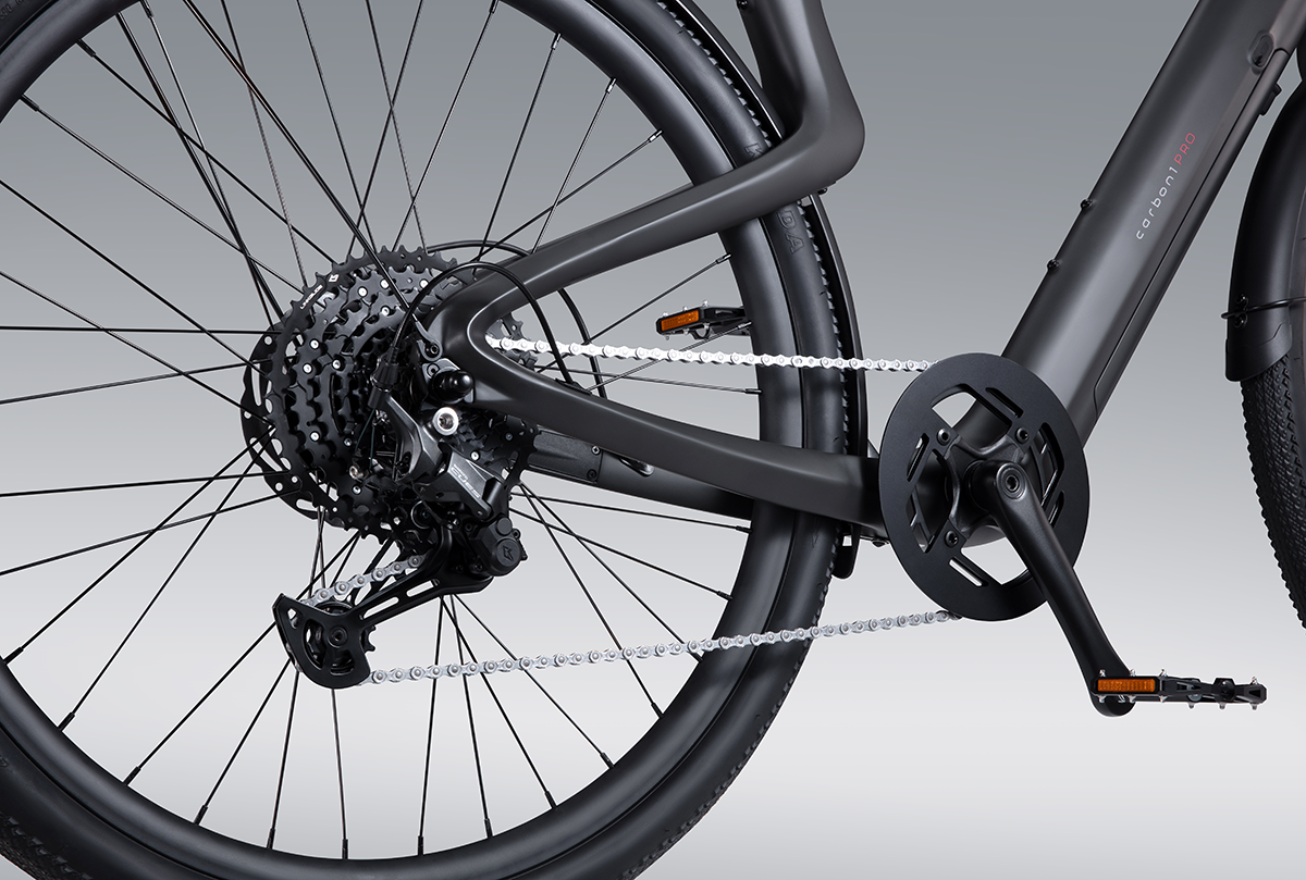 Carbon 1 Pro E-Bike
