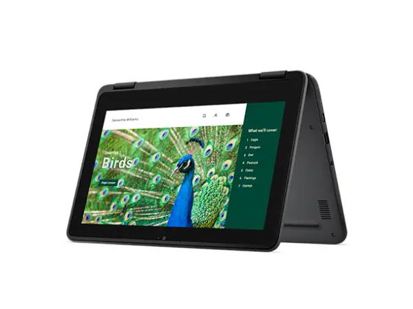 Dell 3120 Chromebook - 11.6" Touch N100 64GB