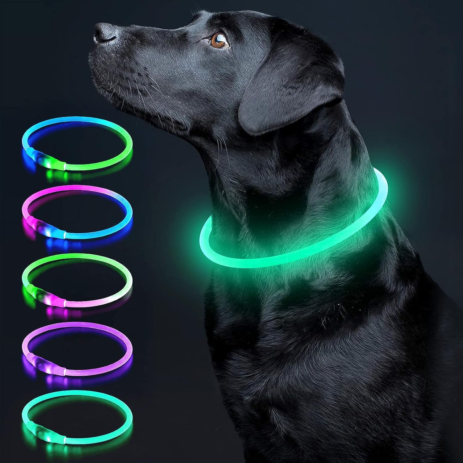 Cyan LED Dog Collar - USB Rechargeable, Glow Safety for Large, Medium, and Small Dogs