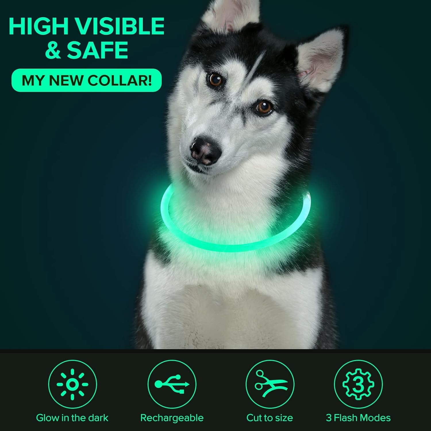 Cyan LED Dog Collar - USB Rechargeable, Glow Safety for Large, Medium, and Small Dogs