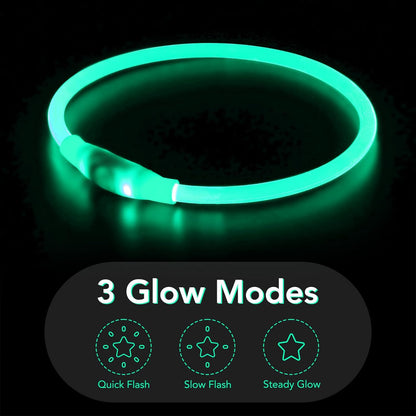 Cyan LED Dog Collar - USB Rechargeable, Glow Safety for Large, Medium, and Small Dogs