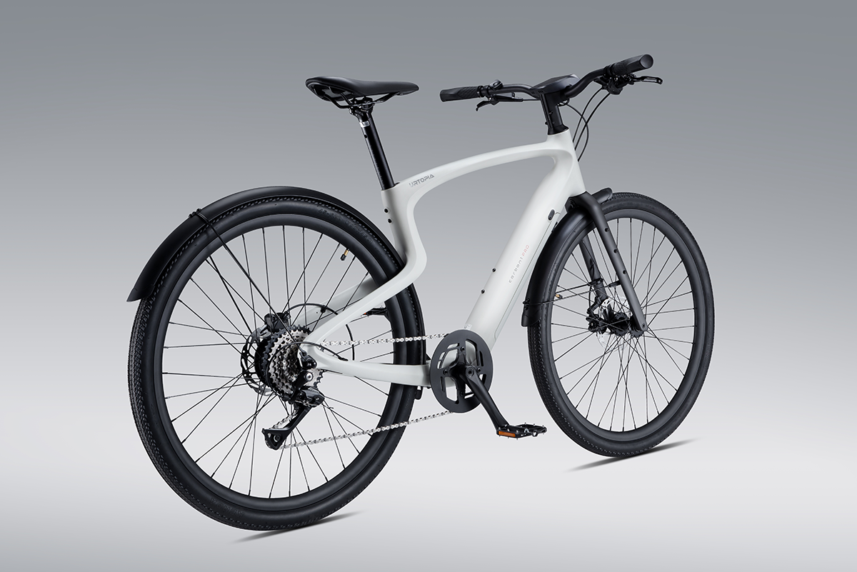 Carbon 1 Pro E-Bike