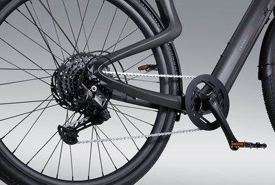 Carbon 1 Pro E-Bike