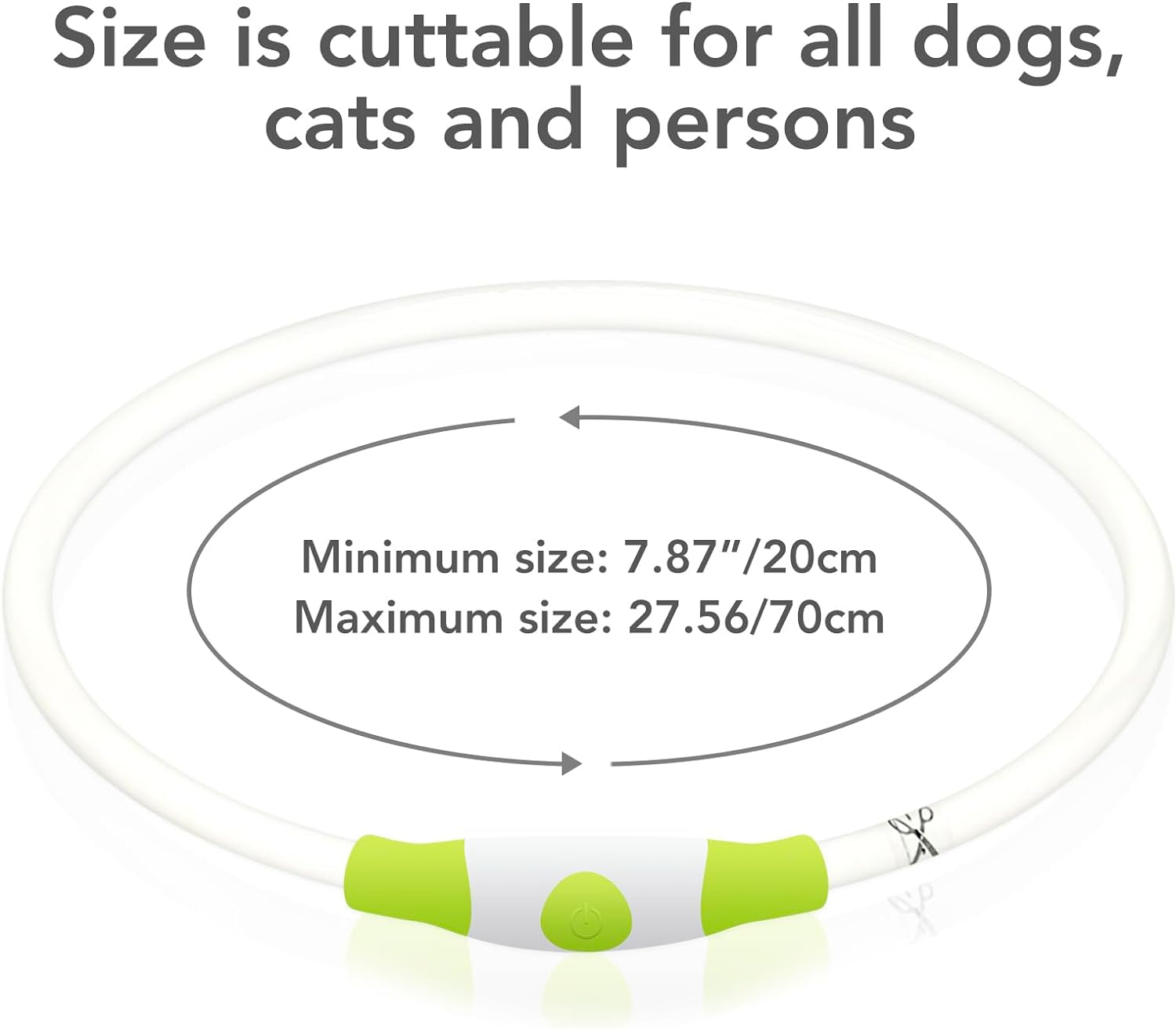 Cyan LED Dog Collar - USB Rechargeable, Glow Safety for Large, Medium, and Small Dogs