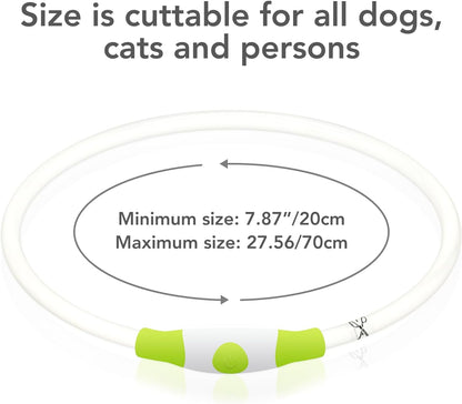 Cyan LED Dog Collar - USB Rechargeable, Glow Safety for Large, Medium, and Small Dogs