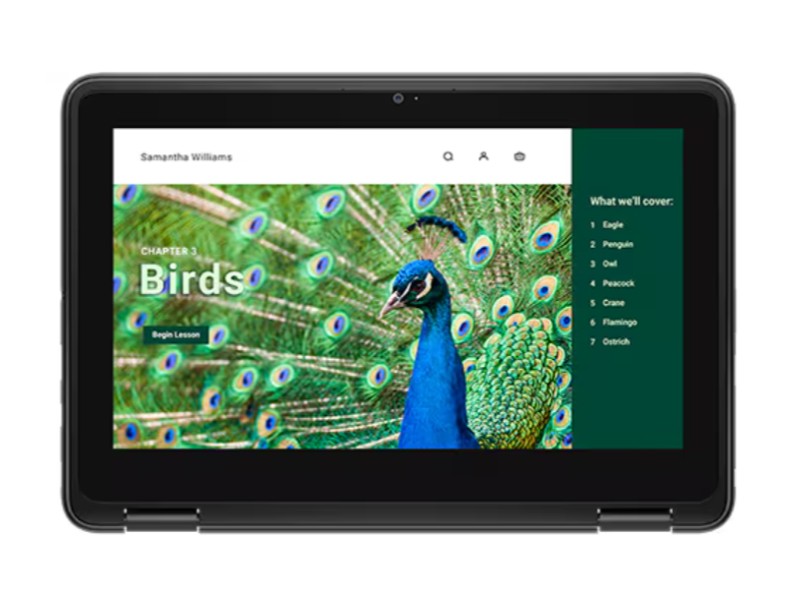 Dell 3120 Chromebook - 11.6" 64GB