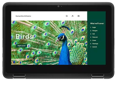Dell 3120 64 GB Emmc Chromebook - 11.6" N100 64GB