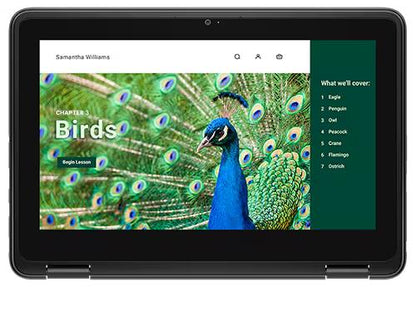 Dell 3120 64 GB Emmc Chromebook - 11.6" N100 64GB